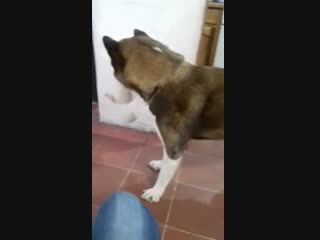 Кажется я что-то сломал