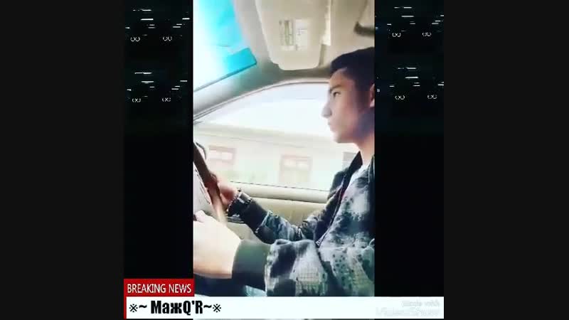 Сука мажор вернулся
