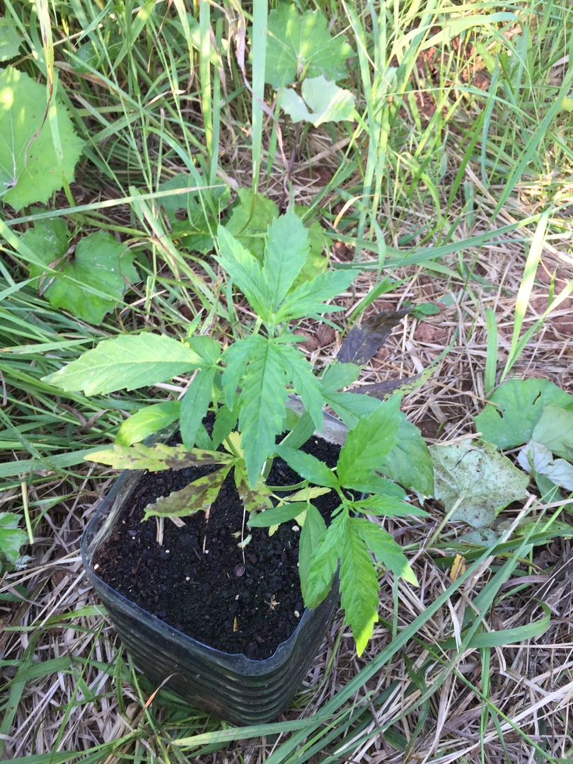 7G6t95dcWQ8.jpg