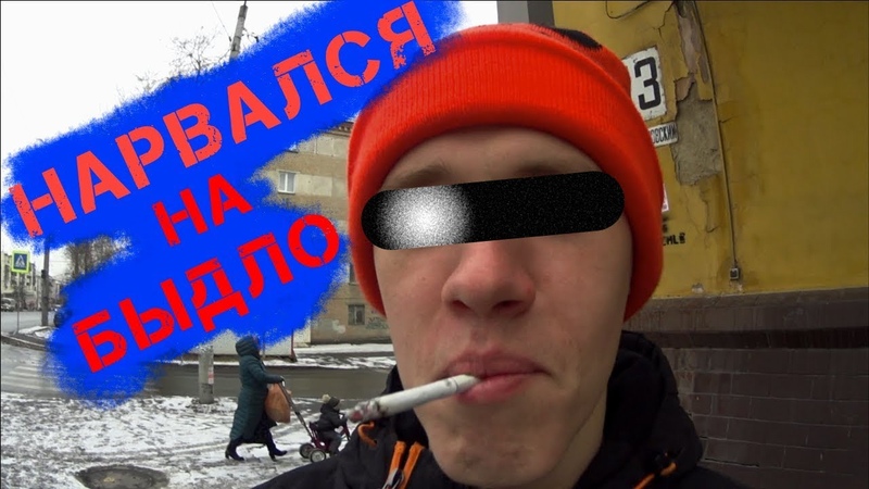 НАРВАЛСЯ НА БЫДЛО