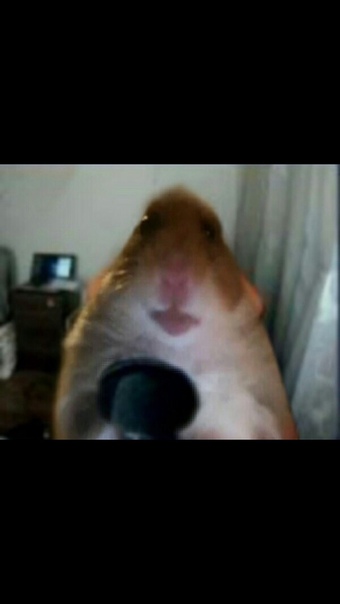 Saveliy Kartavtsev, Россия, Самара