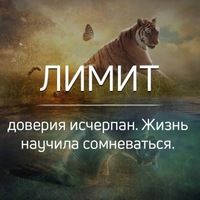 Алексей Кондрашкин | 