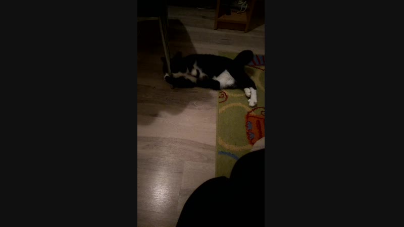 VID_20190104_200757.mp4