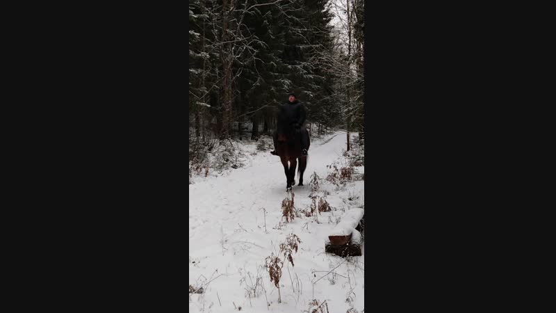 VID_20181213_151208.mp4