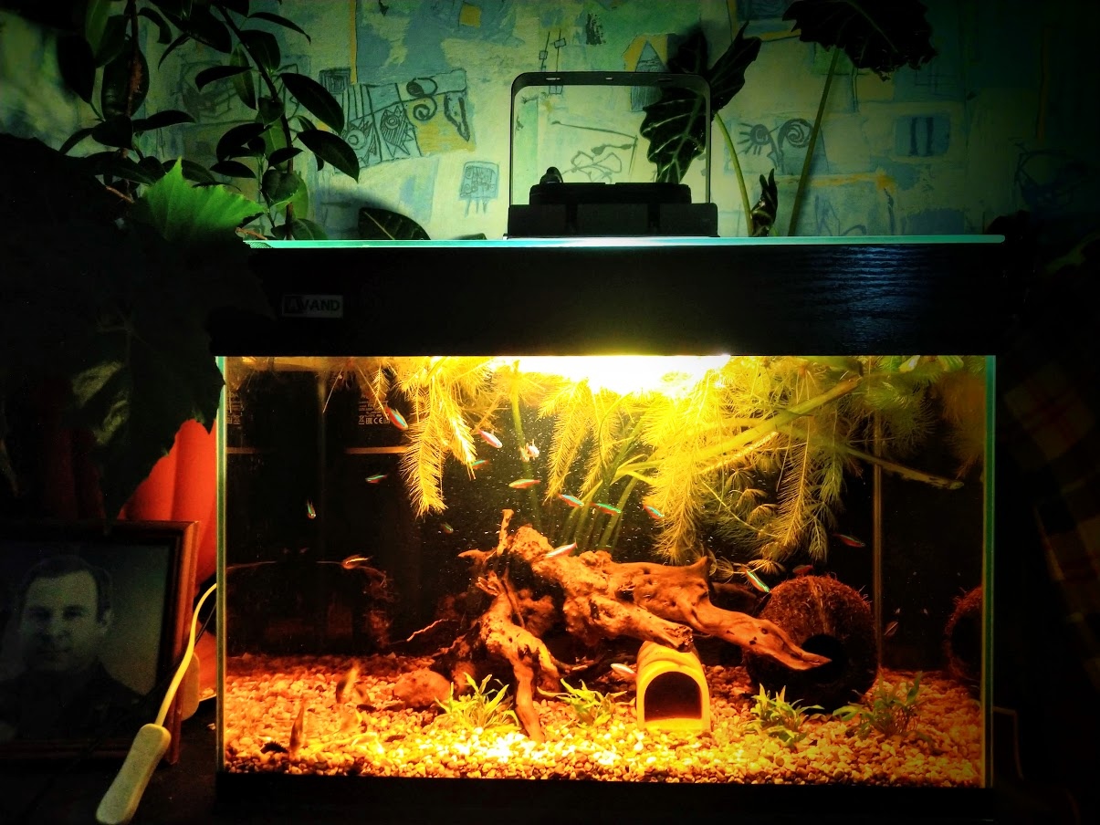 Картинка с форума