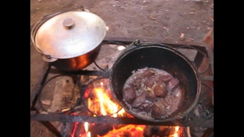Марал тушеный с черносливом.