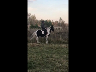 Тер-а-тер, сентябрь 2018, прогресс за лето.