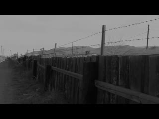 Мусорный ветер
