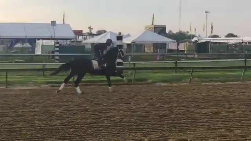 Warrior’s Charge galloping