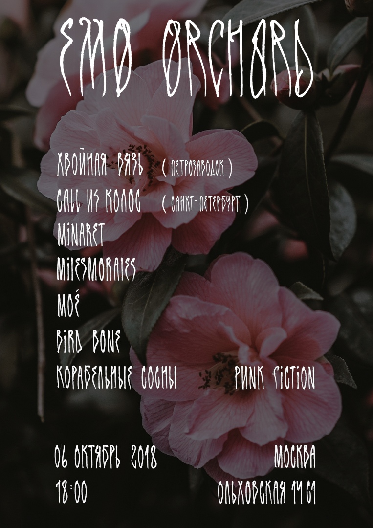 ����� ��������