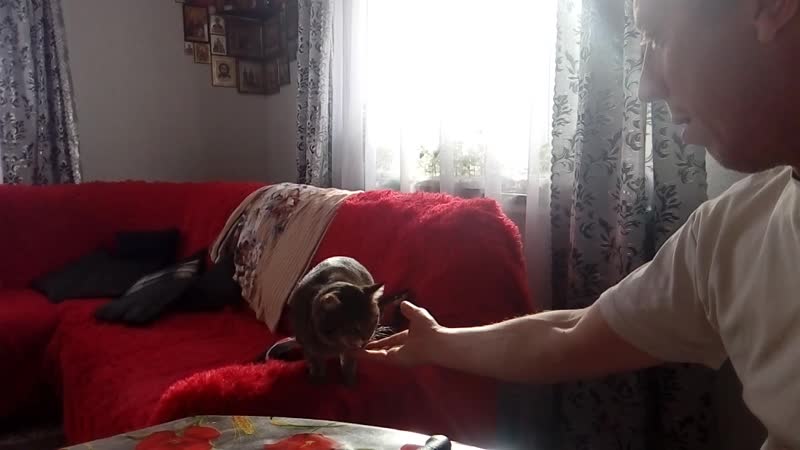 VID_20190501_080415.mp4