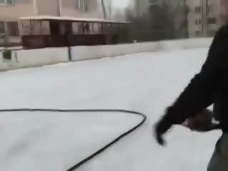 В Сосновом Бору, когда заливали каток, рабочие обнаружили спящего ежа.