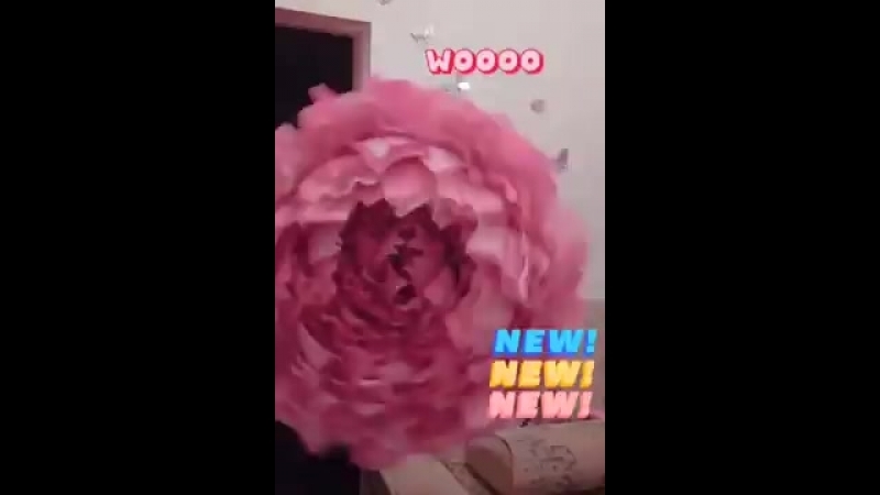 Новый пион