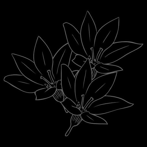 Ellipsis альбом For Nothing