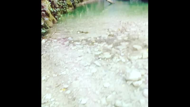 VID_19791006_160319_325.mp4