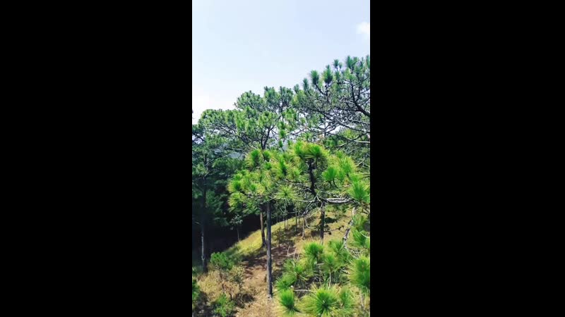 YouCut_20190317_210302382.mp4