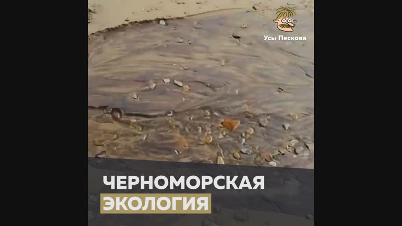 Черноморская экология