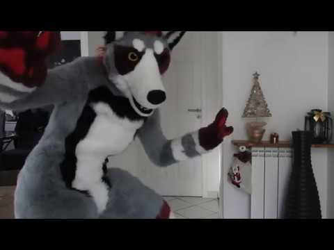 Fursuit Wolf Dog