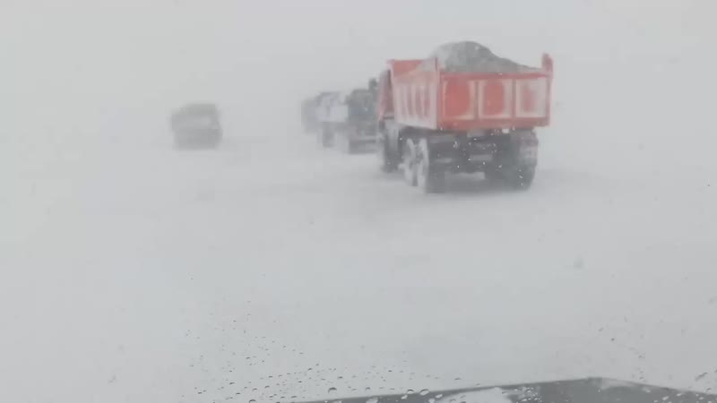 метель на зимнике