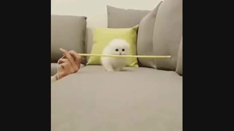 Движение вверх!
