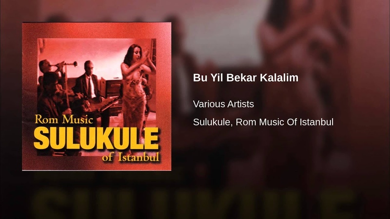 Bu Yil Bekar Kalalim