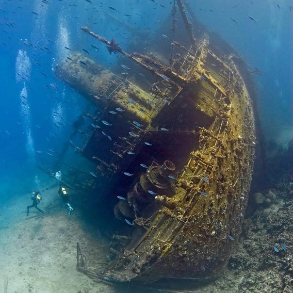 Затонувшее торговое судно, Красное море.