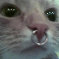 Катя Селиванова | 