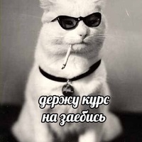 Саня Цура