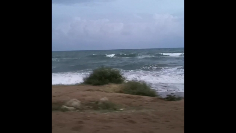 VID_85161219_141047_637.mp4