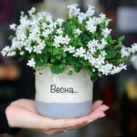 Алеся Борисова | 
