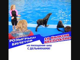 КОНКУРС Розыгрыш 10 билетов на шоу с дельфинами)