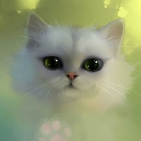 Алиса Шилова | 