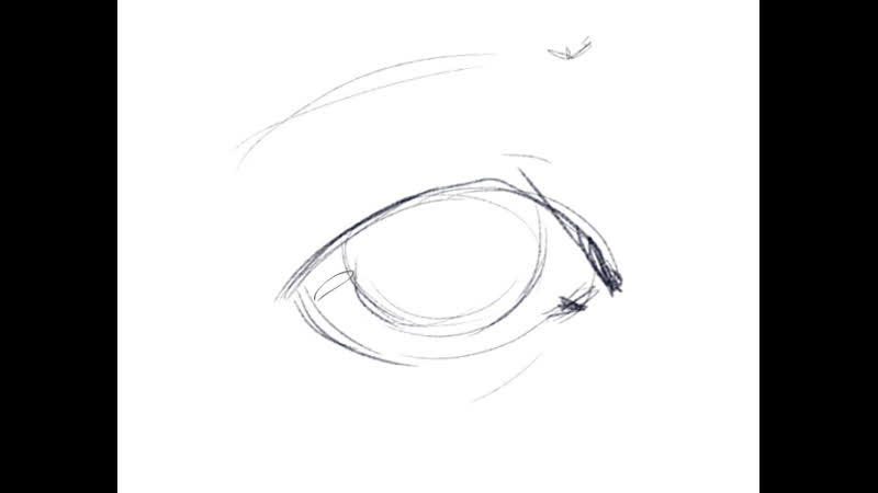 SNEG