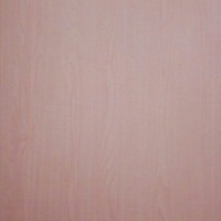 Анна Силаева | 