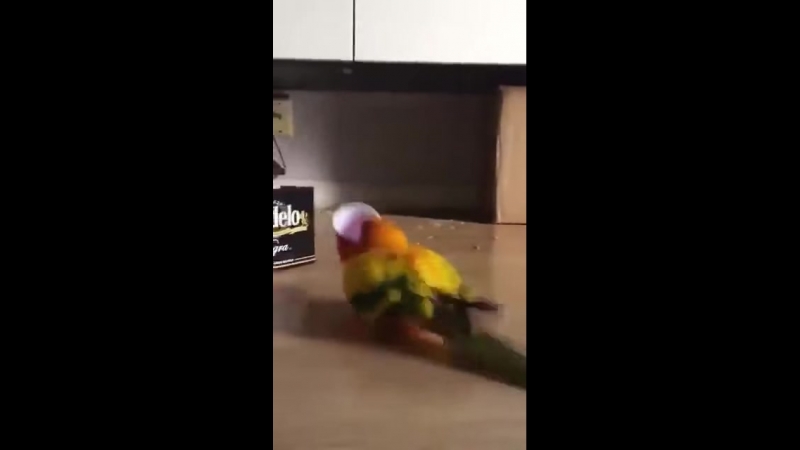 Итс ми)