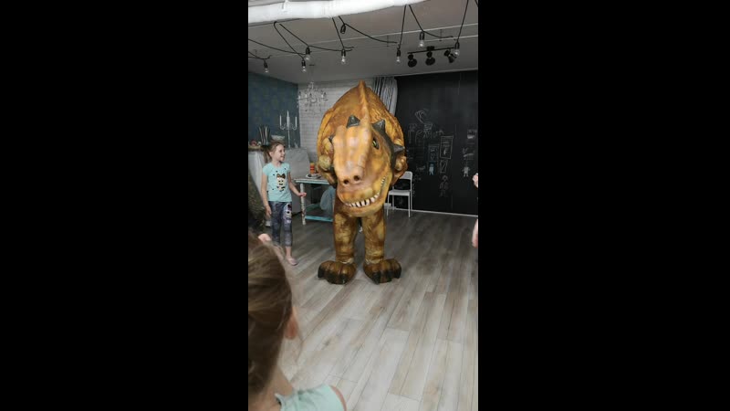 VID_20190524_194221.mp4