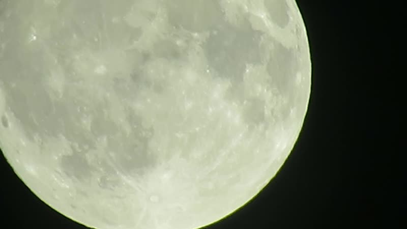 MVI_0290