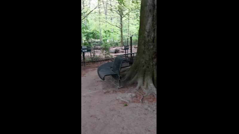 20190502_161115.mp4