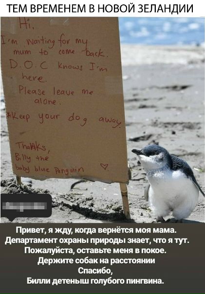Сменить владельца автомобиля