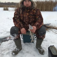 Евгений Несговоров