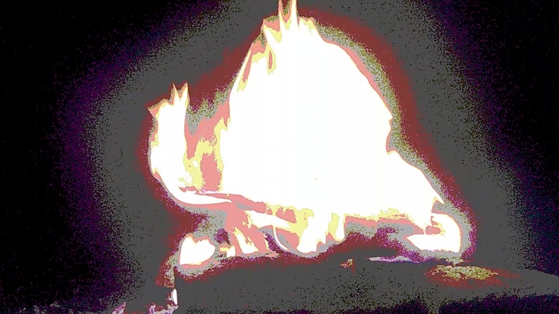 VID_20180804_191130.mp4