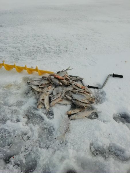 Рыбалка — Озернинское водохранилище, Московская область, 55.764, 36.263
