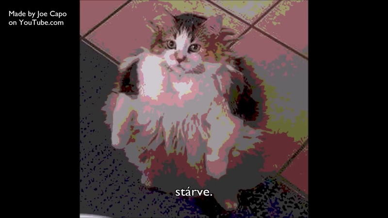 MAY I HAVE SOME LOOPS BRÖTHER