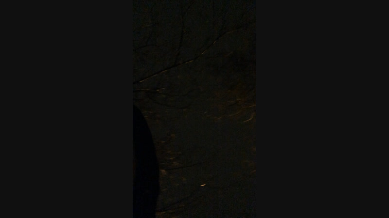 Виталий Меркулов — Live