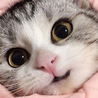 Илья Бойко -.-.-.-.-.-.-.-.-.-.-.-.-.-.-.-.-.-.-.-.-.-.-.-.-.-.-.-.-.-.-.-.-.-.-.-.-.-.-.-.-.-.-.-.-.-.-.-.-.-.-.-.-.-.-.-.-.-.-.-.-.-.-.-. | Калининград