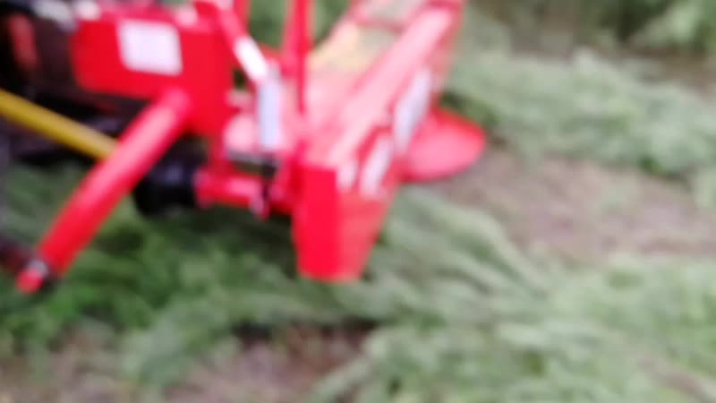 VID_20190520_160827.mp4