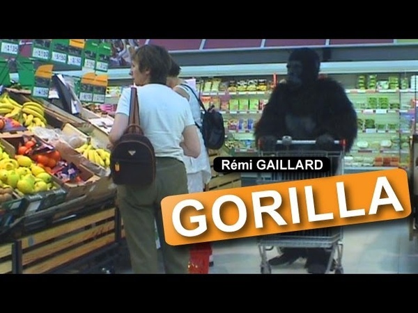 GORILLA (REMI GAILLARD)