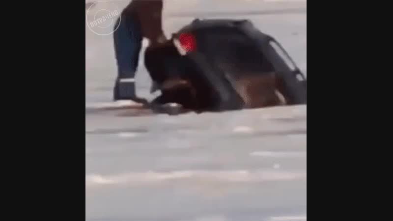 4_5923422863745876121.mp4