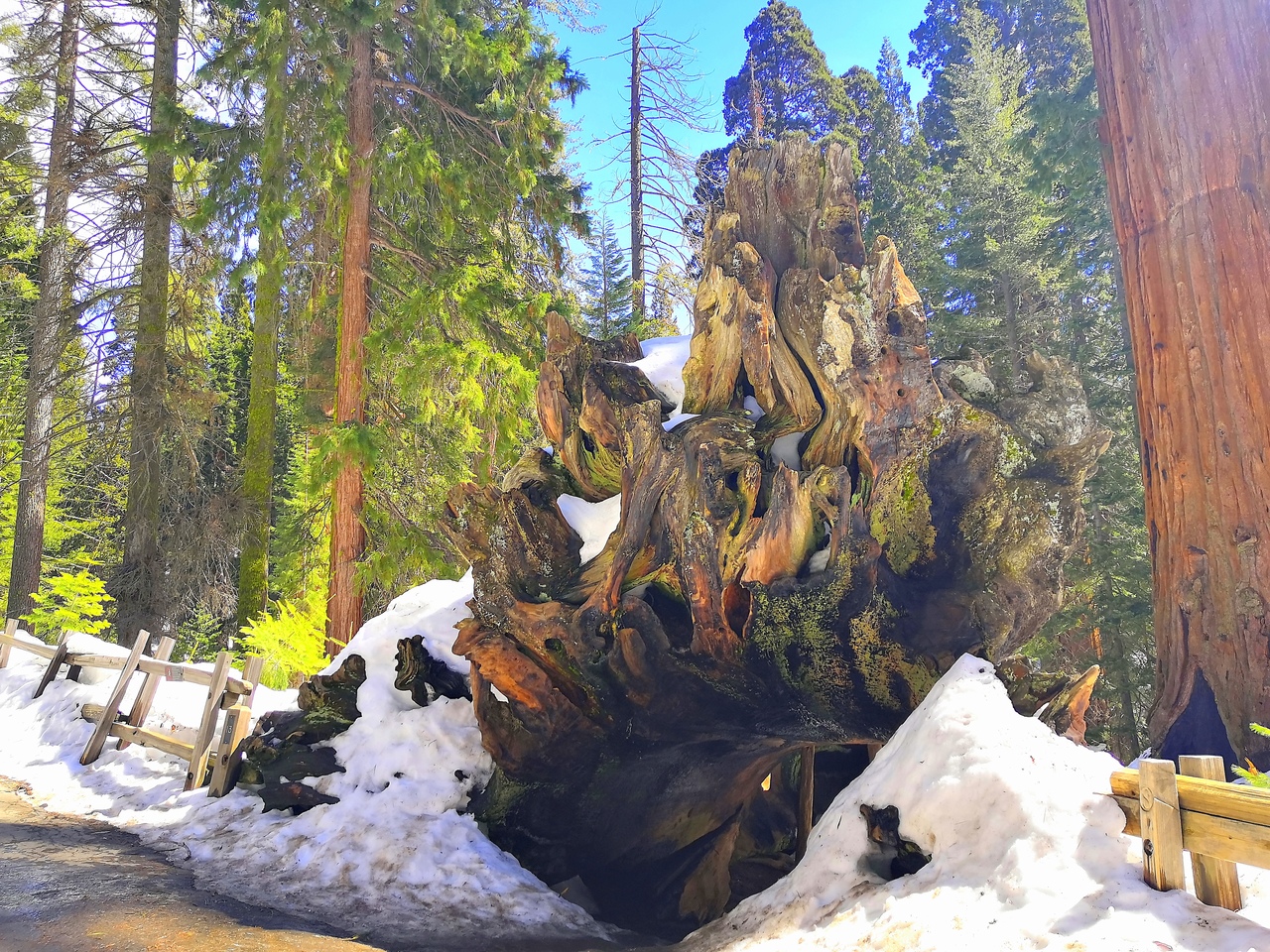 Ударим автопробегом по дикому западу! USA 2019 7-25 марта.