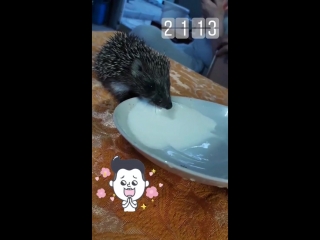 VID_566260803_134856_792.mp4